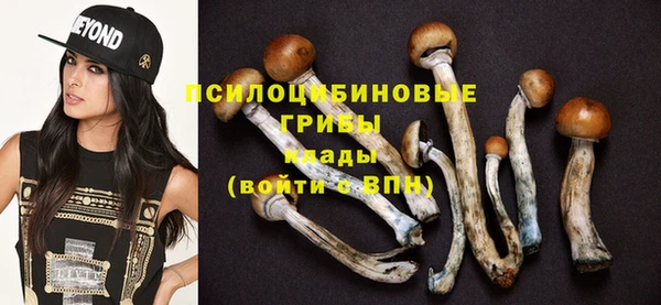 ешки Алексеевка