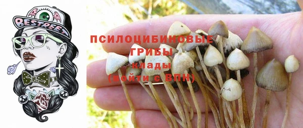 гашик Алзамай