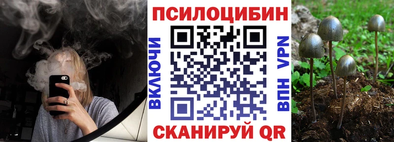 Галлюциногенные грибы мухоморы  Ярославль 