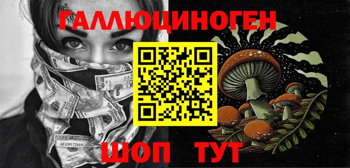 Ярославль  Галлюциногенные грибы Cubensis  Вход с VPN 