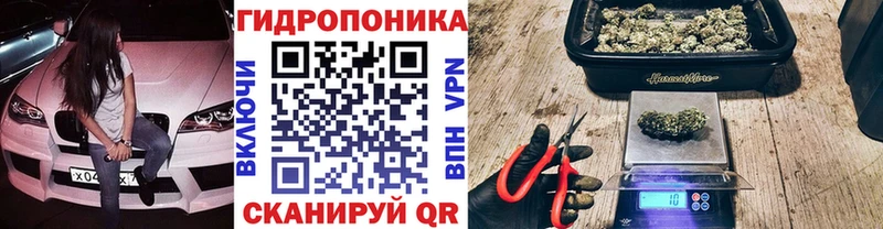 МАРИХУАНА ГИДРОПОН  Ярославль 